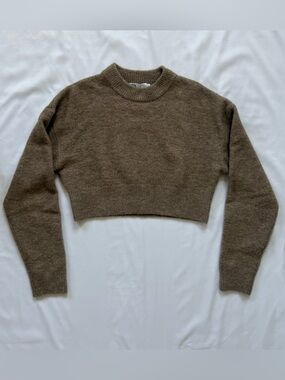 Zara Cropped Crewneck Sweater in Brown